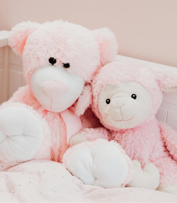 Pink Teddy Bear - 图片 2