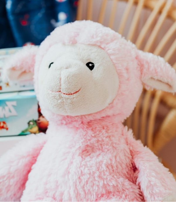 Pink Teddy Bear - 图片 3