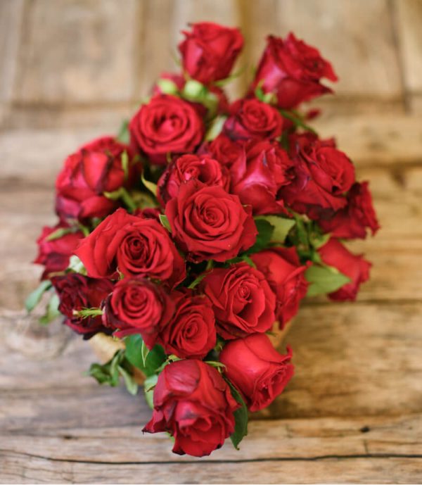 Red Rose - 图片 3